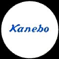 kanebo-02.jpg