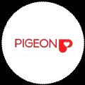 pigeon-00.jpg