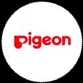 pigeon-02.jpg