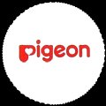 pigeon-03.jpg