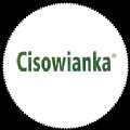 polandcisowianka-02.jpg