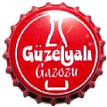 turkeyguzelyaligazozu-01.jpg